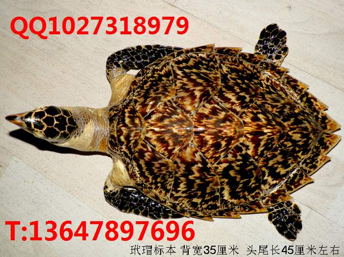裱걾30լа۲ƳƷ