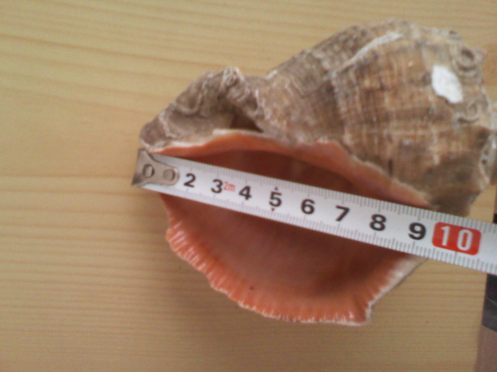ݿǺݿ