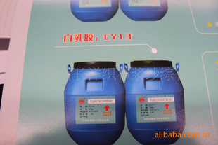 **********CY13齺