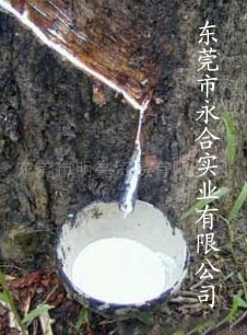 ϹӪũ齺(ͼ)/ôǽ