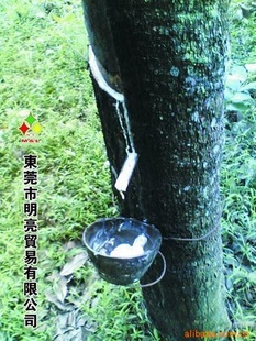 齺/ôǽ/ˮ/ˮԽ/׺