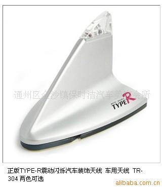 TYPE-R˸װ߳