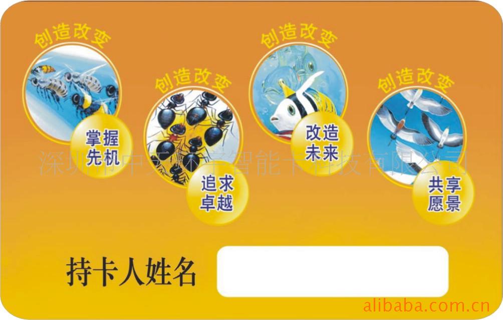 PVC뿨