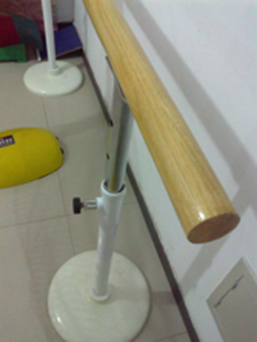 ͯ赸Ѹ˸ƹݹ̶ʽ赸Ѹ˳
