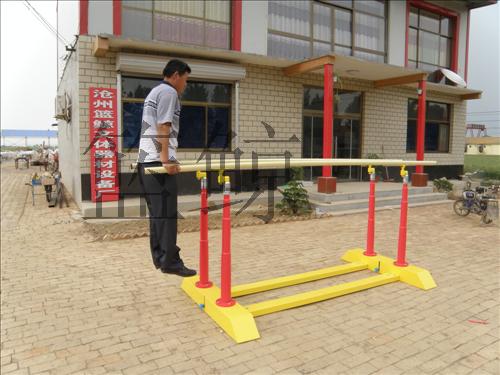 体育用品厂家供应少儿单双杠,石家庄体育器材厂家中