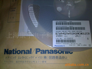 PanasonicµλEVM2WSX80B23