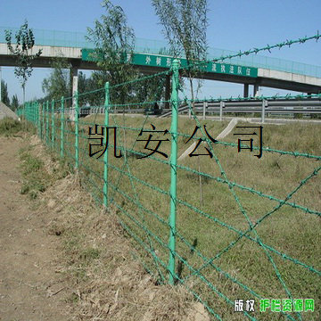 ˿޼޼п