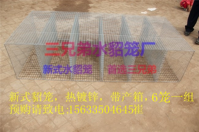 ˮֳ_ˮ_