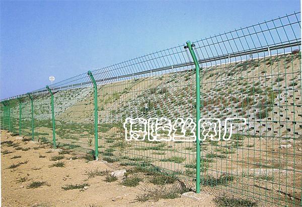 ·/޽