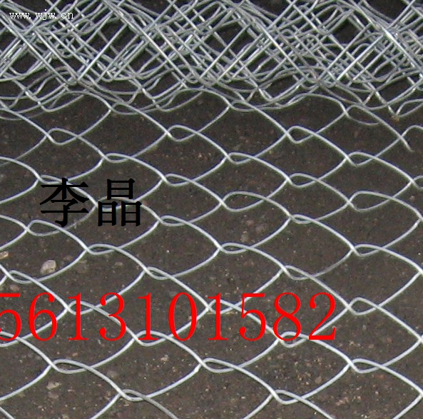 ˴ֲ粥֧5̻罬