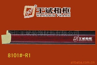 򳧼ֱľʮ8101-T1