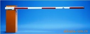 ¹MagneticMIB-30բ