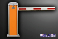 բբݵբ---DZ601---բ