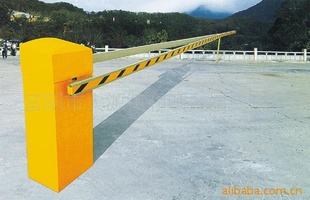 ˫۸˵բբֱ˵բ۵բ