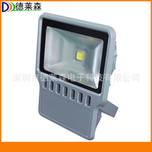 LEDͥԺ80W