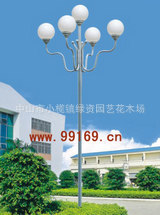 LED,ͥԺ