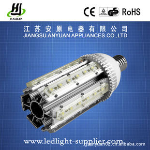 LEDͥԺƴԺ30W
