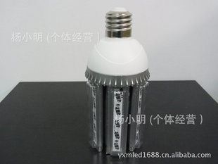 LED׵ͥԺƾ