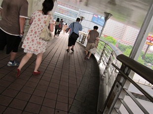 304ֻ