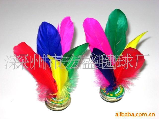 릣ӣӣѧ릣ë(ͼ)