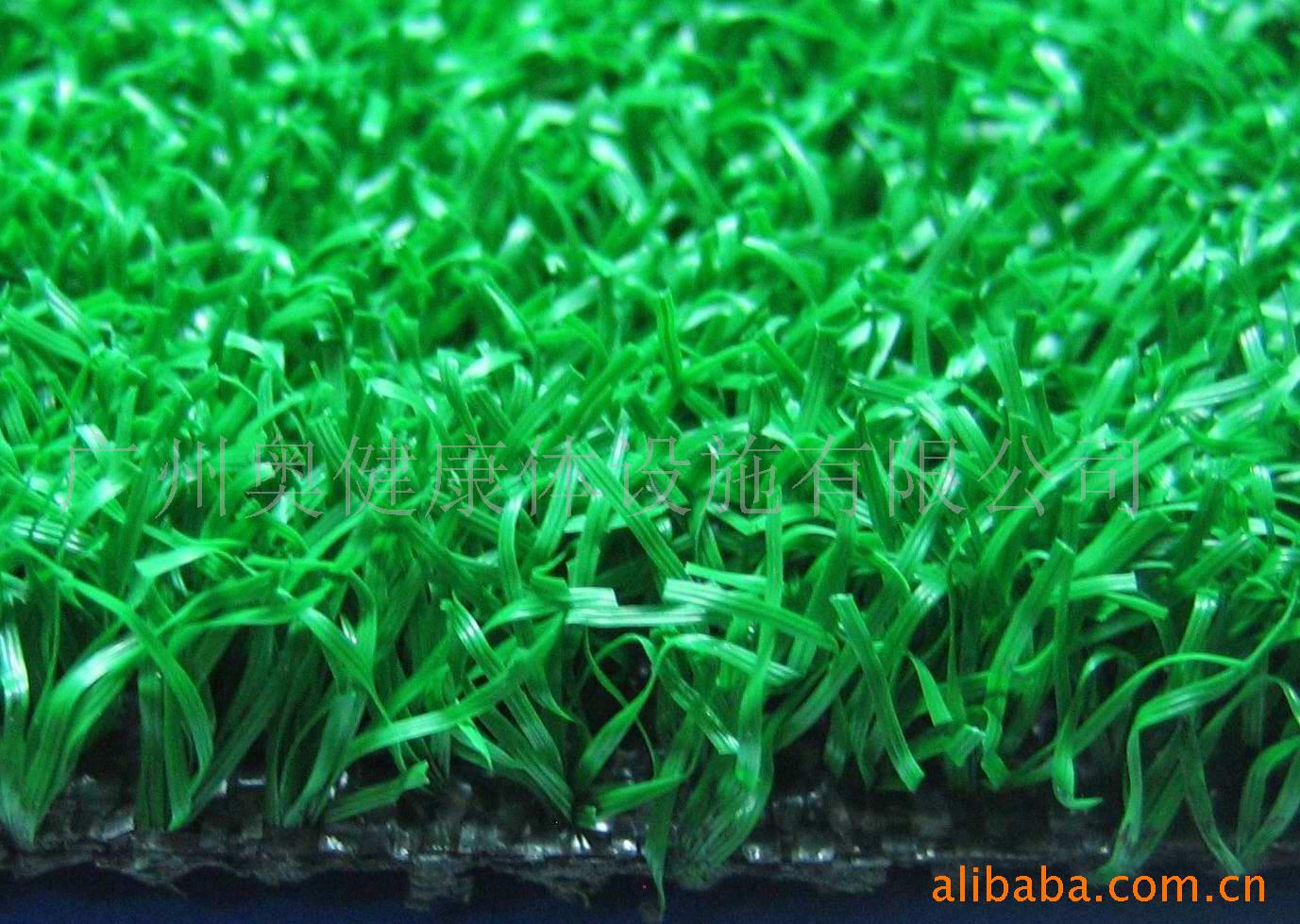 尼龙草AJ-CP001-1PA