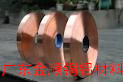 TP2ͭC1020ͭ