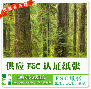 FSCֽֽͭ300g/350g/400gȾͲֽͭż