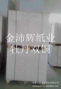 ĵ100G˫ͭ