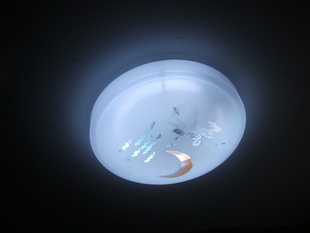 pvc¥̳22w32w