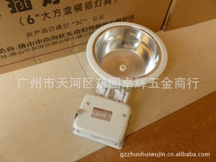 东南MQ06-Y13X2横装筒灯6寸横插筒灯2*13W(双插)新白平边