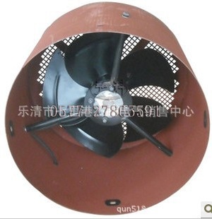 G31ƵٵͨƵG-31ֱ
