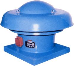 T35-11YJݲů