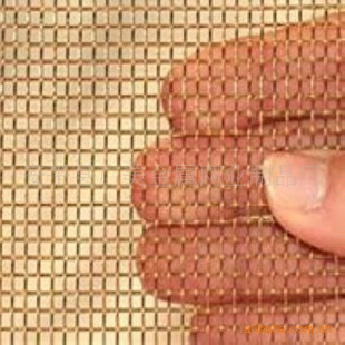 ͭͭ˿