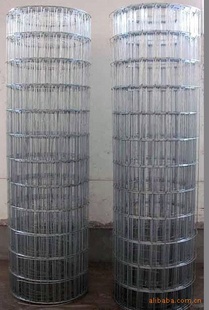 ֱ纸ȶп纸ֳ纸