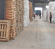 LDPEֽ(ͼ)