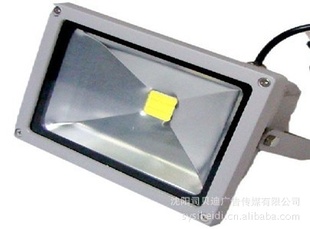 ˼LEDͶ10W
