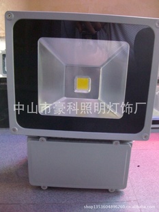 LEDͶ/100W