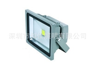 LEDͶ30W