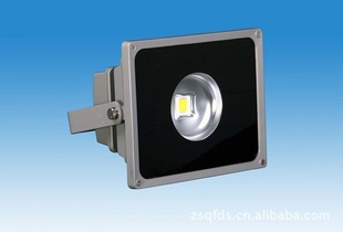 ֱLED10W150WʽͶƿ