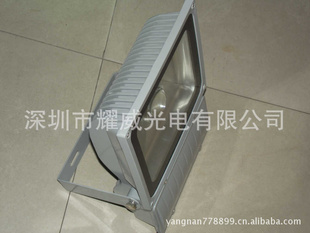 LED100WͶ