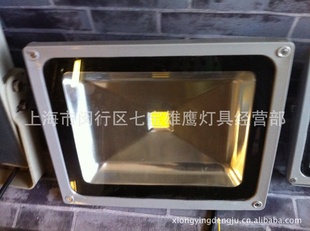 ϺӥƾߣֱͼۣLEDͶƣ50W