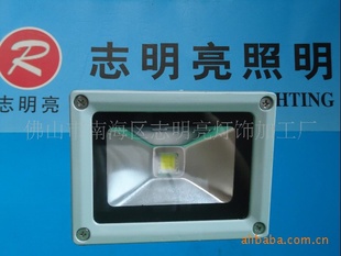 LED10WͶƹ10WƾZMlL-095