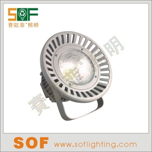 LEDͶƲƷ60-100W