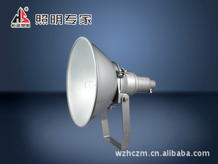 WF258BͶƺʢҹͶ|ƹ