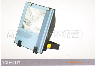TG168-400WͶⷺƿ