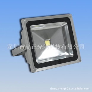 ṩƽ淺50WLED50Wʷ50W