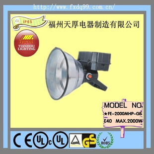 ƾߴʽ±Ͷ2000W[FE-2000-MHP-GB]