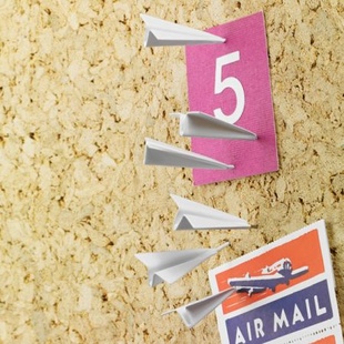 PaperAirplanePushpinsֽɻͼľ