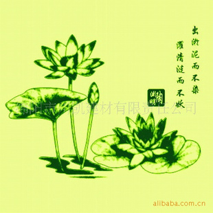 ϼǽͿҺֽӡ̶ѡ