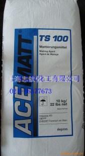TS-100¹